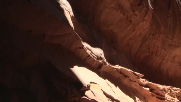 Вид Red Rock Desert Canyon — стоковое видео