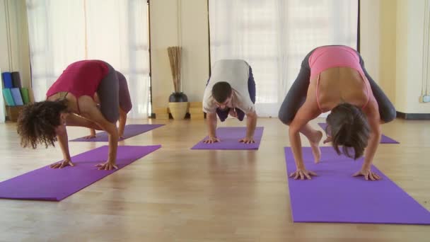 Menschen Beim Yoga Kurs — Stockvideo