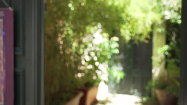 Фоновая Табличка Горшечных Растений Дверей Типичного Дома Венице Италия Живописный — стоковое видео