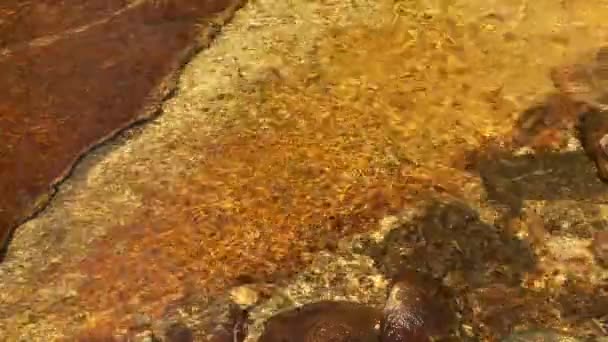 Tuolumne Nehri Manzarası — Stok video
