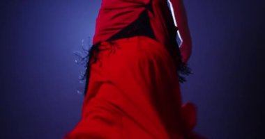 Kırmızı elbiseli bir flamenko dansçısı.