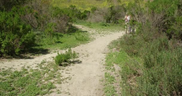 Couple Sénior Actif Randonnée Sur Sentier Ensemble — Video