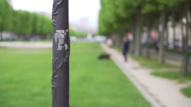 Close Metal Post Blurred Background Large Green Field Park Trees — Stock Video