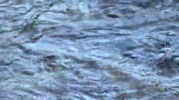 Vista Panorâmica Rio Tuolumne — Vídeo de Stock