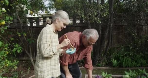 Senior Couple Standing Eating Garden — Stock Video