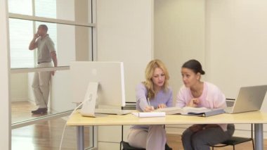 Ofiste bilgisayarla çalışan iki iş kadını