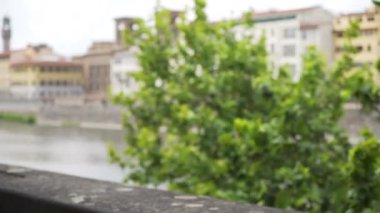 Arno Nehri ve İtalyan binalarının manzarası. Floransa 'da ağaç ve nehrin önündeki çimento raylarının arka planı bulanık