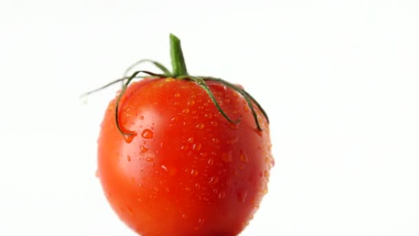 Pomidor Obrotowy Zbliżenie — Wideo stockowe