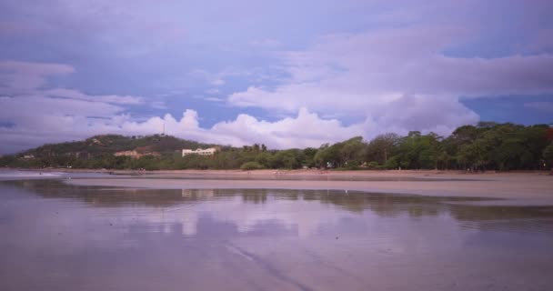 沿着哥斯达黎加海岸线拍摄的森林树木场景 热带海滩上的棕榈树和红树林景观 — 图库视频影像