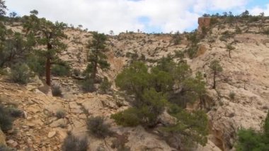 Arid Dağı Manzarası