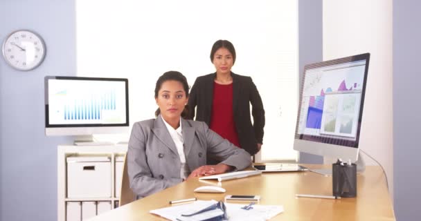 Multi Etnische Vrouwelijke Ondernemers Zitten Kantoor — Stockvideo