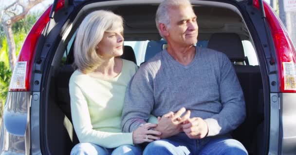Szczęśliwa Para Starszy Trzymając Się Ręce Samochodzie — Wideo stockowe