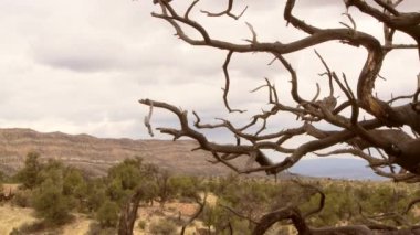 Çöl Manzarası Görünümü