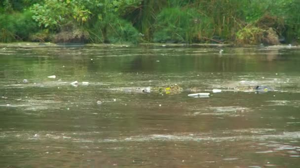 Pan Drainage Debris Floating River — Stock Video
