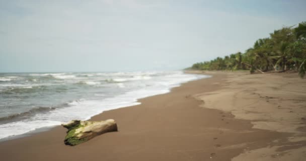Unscharfe Aufnahme Eines Typischen Strandes Costa Rica Krachende Wellen Ufer — Stockvideo