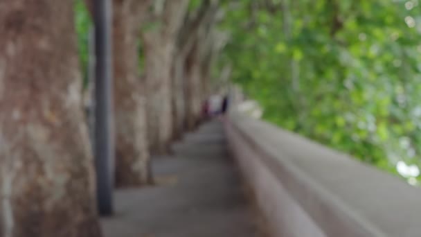 Defokussierte Hintergrundplatte Des Straßengangs Unter Blätterdach Langer Schmaler Gehweg Mit — Stockvideo