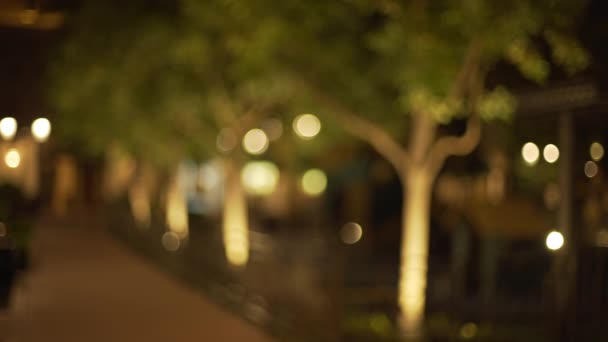 城市公园里的树木在夜间没有聚焦的视频背景 Bokeh拍摄的空城公园与人行道 — 图库视频影像