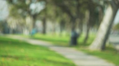 Güzel yeşil park ve ağaçların gündüz odaklı arka plan plakası. Şehir parkındaki boş kaldırımın video arkaplanı. 4k
