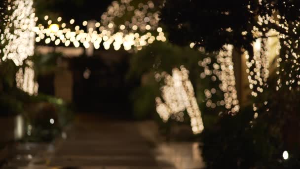 Bokeh Białych Lampek Świątecznych Owinięte Wokół Drzew Zawieszone Nad Głową — Wideo stockowe