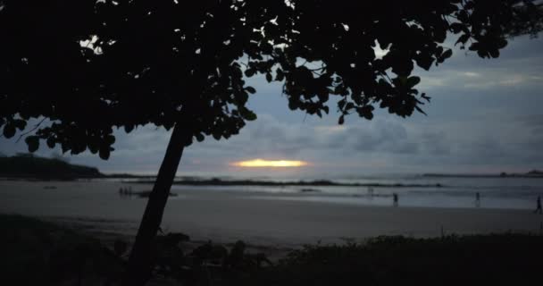 Baumsilhouette Gegen Tropischen Strand Bei Sonnenuntergang Felsige Küste Von Costa — Stockvideo