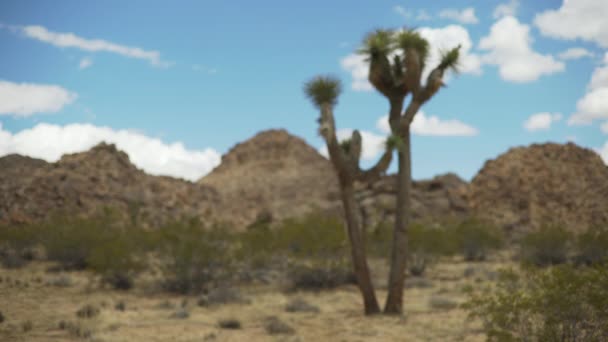 Large Rock Ridge Yucca Valley Eclipsing Blue Sky Green Screen — Stock Video