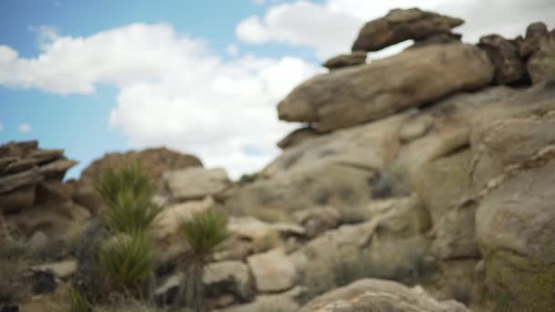 乔舒亚沙漠中的大石头和灌木 用于绿色屏幕或彩色键 因作曲或键击而失焦或失焦 — 图库视频影像