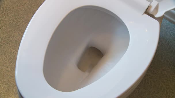 Toilettenspülung Der Toilette — Stockvideo