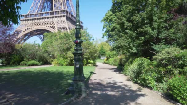 Ścieżka Brudu Soczystym Zielonym Parku Przed Wieżą Eiffla Duży Park — Wideo stockowe