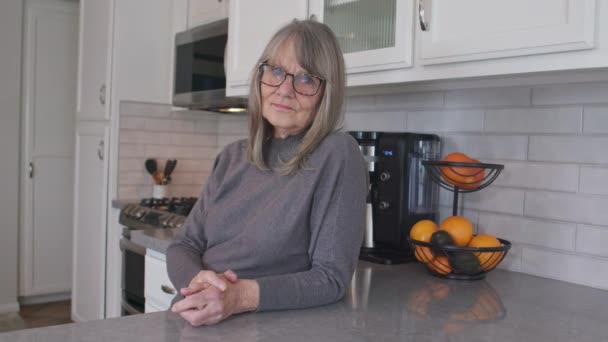 Handheld Porträt Einer Grauhaarigen Seniorin Mit Brille Die Die Kamera — Stockvideo
