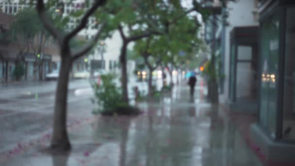 背景緑の画面やクロマキーのための非常に雨と忙しい街の通りのプレート 合成やキーのためのフォーカスやフォーカスを外して撮影しました — ストック動画