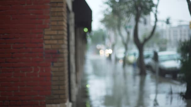 Pozadí Deštivá Městská Ulice Cihlovou Zdí Pro Zelenou Obrazovku Nebo — Stock video