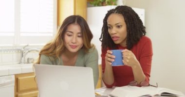 Bayan üniversite öğrencisi arkadaşlar çalışmak için dizüstü bilgisayar ve kitap kullanıyorlar.