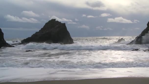 加利福尼亚海岸白天 — 图库视频影像