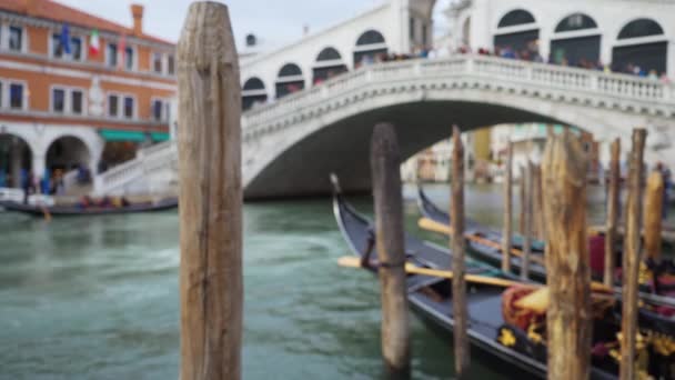 Pohled Přístavu Lodí Turistů Kteří Navštíví Most Rialto Benátkách Itálie — Stock video