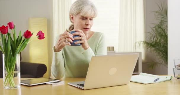 Senior Mulher Laptop Mesa Computador Sorrindo — Vídeo de Stock