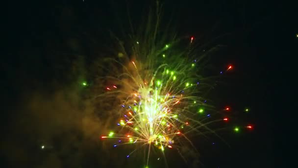 Fourth July Fireworks — Stock Video
