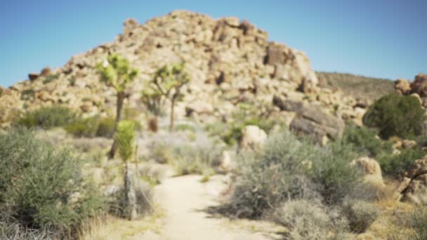 Large Rocky Mesa Distance Green Screen Chroma Key Out Focus — Stock Video