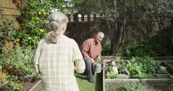 Senior Woman Bringing Food Husband Working Garden — Stock Video