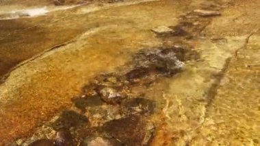 Tuolumne Nehri Manzarası