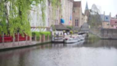 Brüj 'deki kanalın arka plan levhasının dışında birleşim için ağaçtan sarkan yapraklar. Avrupa 'nın arka planında yeşil ekran için hafif bir meltem esiyor. 4k