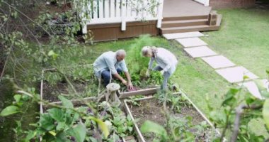 Bahçede çalışan yaşlı çift.