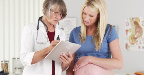 医者は妊娠中の患者とノートを共有する — ストック動画