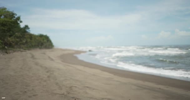 นหล งเบลอของคล นทะเลพ งชนบนชายหาดเขตร อนใกล มมองท สวยงามของกระแสน าทะเลท ยบสงบและต นไม — วีดีโอสต็อก