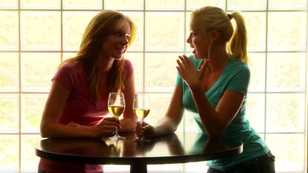 Masada Durmuş Şarap Içen Iki Kadın — Stok video