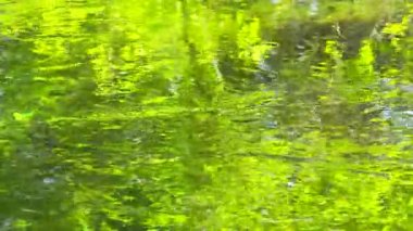 Nehir Yansımaları Görünümü