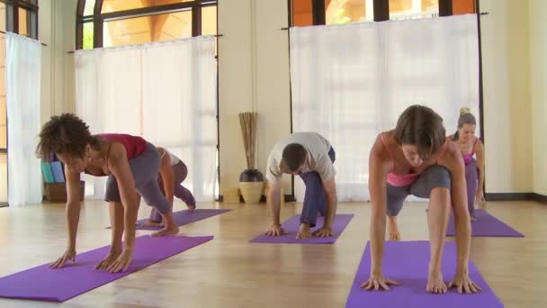 Persone Lezione Yoga — Video Stock