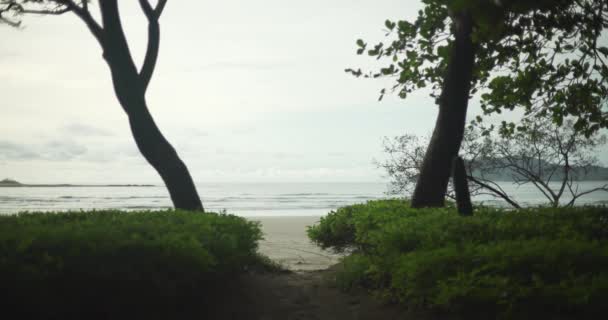 Widok Spokojnych Fal Morskich Plaży Kostaryka Między Dwoma Drzewami Nieostre — Wideo stockowe