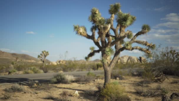 Een Lege Snelweg Door Een Groot Woestijndal Voor Groen Scherm — Stockvideo