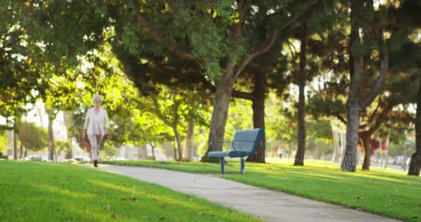 快乐的老妇人在公园散步 — 图库视频影像