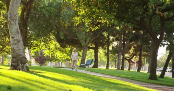 公園を歩いている年配の女性 — ストック動画